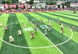 门兴格拉德巴赫全队团结齐心取胜的简单介绍