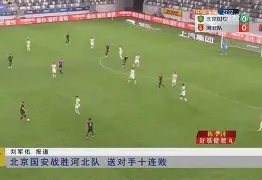 南安普顿主场战平强敌，表现稳定的简单介绍